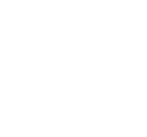 litigio