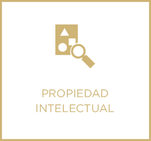 propiedadIntelectual02